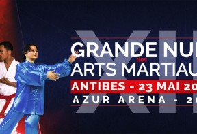 XII Grande Nuit des Arts Martiaux - GNAM 2015