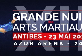 12eme Grande Nuit des Arts Martiaux