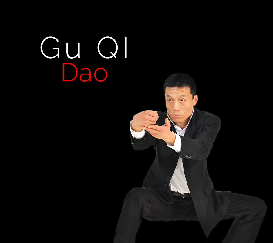 Gu Qi Dao à la Grande Nuit des Arts Martiaux