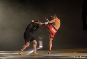 MMA à la Grande Nuit des Arts Martiaux