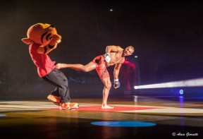 Mascotte de la Grande Nuit des Arts Martiaux