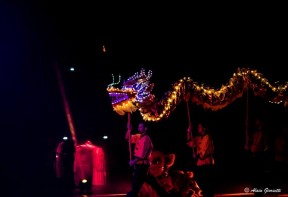 Dragon de la Grande Nuit des Arts Martiaux