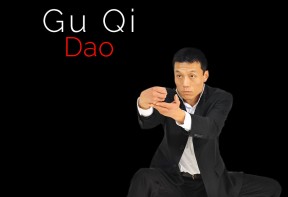 Grande Nuit des Arts Martiaux - Gu Qi Dao