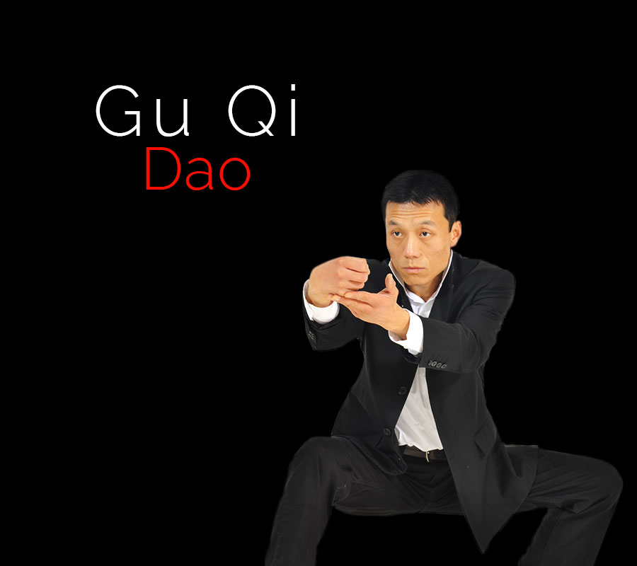 Grande Nuit des Arts Martiaux - Gu Qi Dao