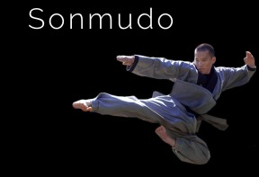 Grande Nuit des Arts Martiaux - Sonmudo