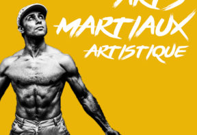 Arts Martiaux Artistiques - Loic Molla