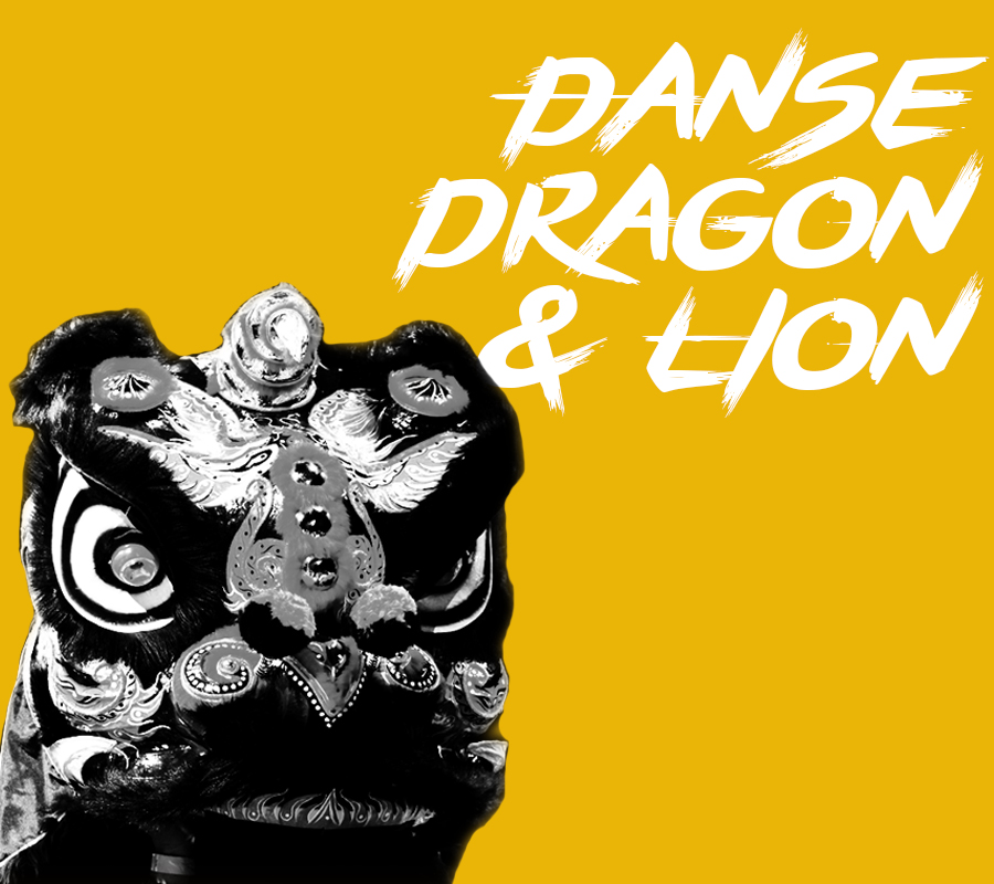 Démonstration de la Danse du Dragon et du Lion par l'Ecole Hoang Nam