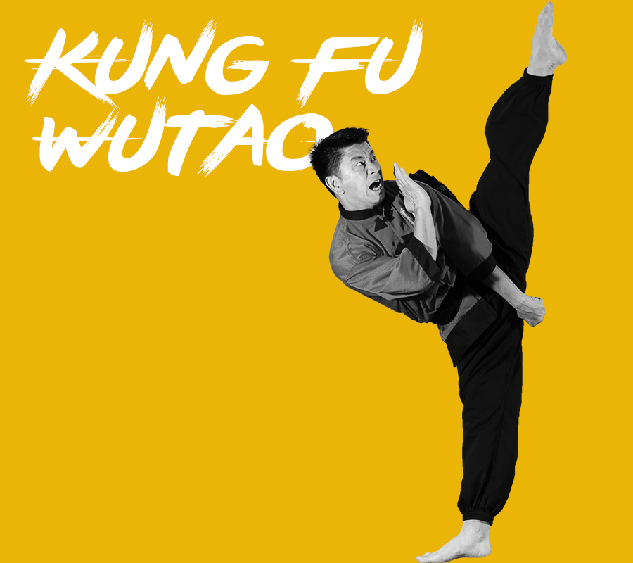 Démonstration de Kung Fu Wutao par l'Ecole Hoang Nam